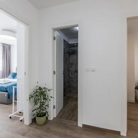 Domus Mea *